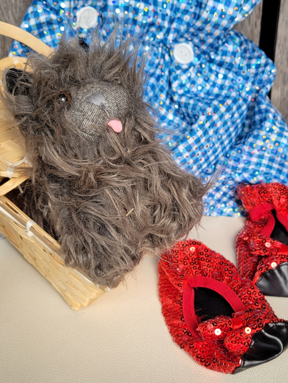 Dorothy Gingham Costume Dress - Basket, Toto & Red Sparkle Shoes 6-7yrs - Picture 5 of 5